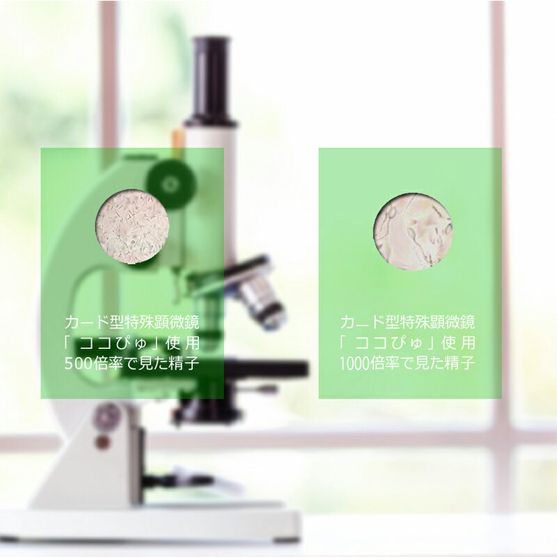 カード型特殊顕微鏡「ココぴゅ!」精子観察キット...の紹介画像3