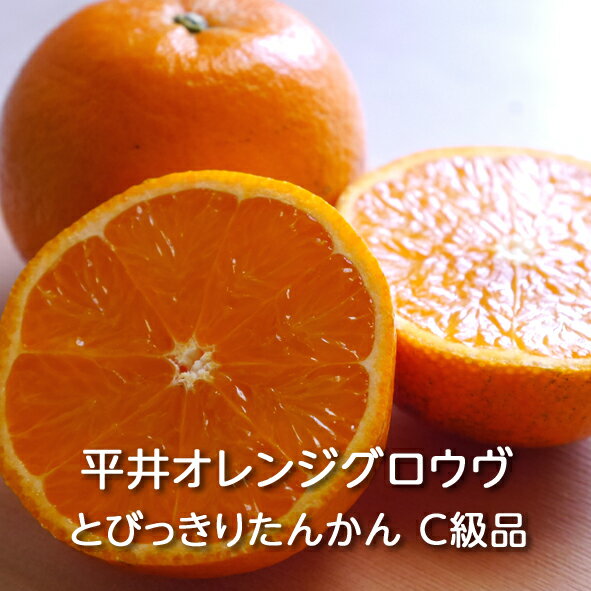 楽天市場】たんかん 送料無料 10kgの通販 楽天市場】たんかん 送料無料 10kgの通販