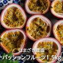 【予約】小笠原産 パッションフルーツ 1.5kg箱(16〜19個) 濱崎農園 産地直送 農家直送 送料無料(一部地域除く)