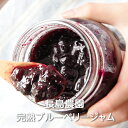 栽培期間中農薬不使用 完熟ブルーベリージャム 中瓶(280g×2個) 長島農園:ブルーベリージャム ブルーベリー ジャム プレザーブ スプレッド パン トースト...