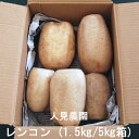 【産地直送】栃木県産 レンコン 1.5kg/5kg箱 人見農園 送料無料