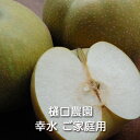 【予約】樹上完熟 幸水梨 ご家庭用 3kg/5kg/10kg箱 樋口農園:梨 なし ナシ 和梨 幸水 おやつ フルーツ 果物 くだもの 国産 新潟県産 産地直送 農家直送 送料無料(一部地域除く)