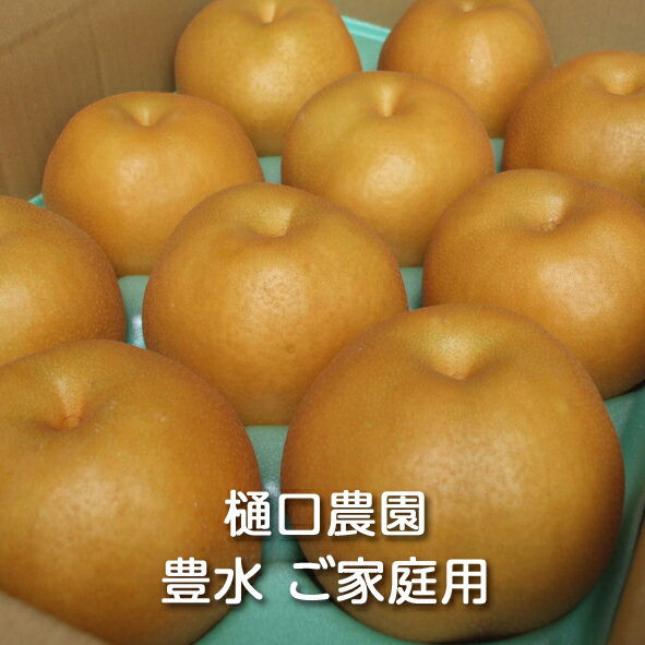 樹上完熟豊水梨 ご家庭用 3kg/5kg/10kg箱 樋口農園：梨 なし ナシ 和梨 和なし 日本梨 赤梨 豊水 ほうすい おやつ 果物 くだもの フルーツ デザート ギフト 贈り物 プレゼント 化粧箱 もぎたて 減農薬栽培 国産 新潟県産 産地直送 農家直送 送料無料(一部地域除く)のサムネイル
