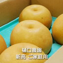 【予約】樹上完熟新高梨 ご家庭用 3kg/5kg/10kg箱 樋口農園:梨 なし ナシ 和梨 和なし 日本梨 赤梨 新高 にいたか おやつ 果物 くだもの フル...