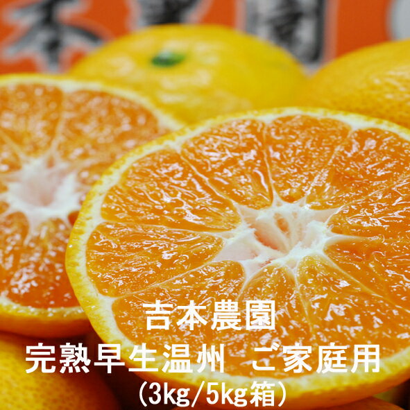 愛媛県産 完熟早生温州 ご家庭用 3kg/5kg箱 吉本農園 産地直送 農家直送 送料無料(一部地域除く)(4)