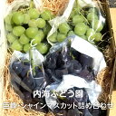 【予約】巨峰・シャインマスカット詰め合わせ 1kg/2kg/3kg/4kg箱 内海ぶどう園:ぶどう 葡萄 ブドウ グレープ 完熟 甘い 美味しい おいしい 安全 種無し 種なし 露地栽培 贈答用 ギフト 贈り物 プレゼント 人気 定番 国産 栃木県産 産地直送 農家直送 送料無料(一部地域除く)
