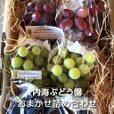 【予約】おまかせ詰め合わせ 2kg/3kg/4kg箱 内海ぶどう園:ぶどう 葡萄 ブドウ グレープ 完熟 甘い 美味しい おいしい 安全 種無し 種なし 露地栽培 贈答用 ギフト 贈り物 プレゼント 人気 定番 国産 栃木県産 産地直送 農家直送 送料無料(一部地域除く)