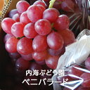 【予約】希少品種ベニバラード 1kg/2kg/3kg/4kg箱 内海ぶどう園:ぶどう 葡萄 ブドウ グレープ 完熟 甘い 美味しい おいしい 安全 種無し 種なし 皮が薄い 皮ごと 露地栽培 珍しい 贈答用 ギフト 贈り物 プレゼント 国産 栃木県産 産地直送 農家直送 送料無料(一部地域除く)