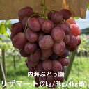 【予約】ぶどうの女王 希少品種リザマート 1kg/2kg/3kg/4kg箱 内海ぶどう園:ぶどう 葡萄 ブドウ グレープ 完熟 甘い 美味しい おいしい 安全 ...