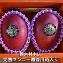 完熟マンゴー 贈答用箱入り 約650g/約750g 鈴木材木店:マンゴー アップルマンゴー アーウィン 高糖度 樹上完熟 トロピカルフルーツ ギフト 贈り物 プレゼント 化粧箱 フルーツ 果物 くだもの デザート 国産 栃木県産 産地直送 農家直送 送料無料(一部地域除く) お中元