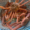 活蟹だから旨さが違う♪濃厚なかにみそと食べ飽きない蟹の身！北海道産活おおずわいがに 訳あり2.0kg ...