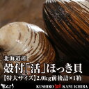 活だから旨さが違う！北海道産殻付「活」ほっき貝【特...