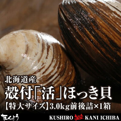 活だから旨さが違う！北海道産殻付「活」ほっき貝【特...