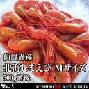 仙鳳趾産 しまえび Mサイズ 500g前後 - 北海道ぐるめ館 たくよう