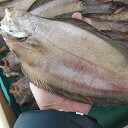 北海道産 柳カレイ・1枚