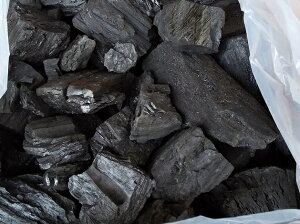 送料無料 バーベキュー 木炭 20kg BBQ木炭 炭 防災用 燃料 BBQ お花見 キャンプ バーベキュー 節電 暖房 薪ストーブ 業務用 暖炉 スポーツ アウトドア 牡蠣 炭火焼き通販格安セール情報 楽天 通販