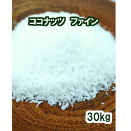 ココナッツ ファイン 30kg(10kg x 3)ヤシの実 ココナツ 椰子の実 ココヤシ Coconut ナッツ ヤシ科 お菓子 トッピング クッキー ケーキ デザート グラノーラ シリアル パンケーキ ロースイーツ 業務用 大量 大袋 業者 卸売り ケース売り 業務用　大容量