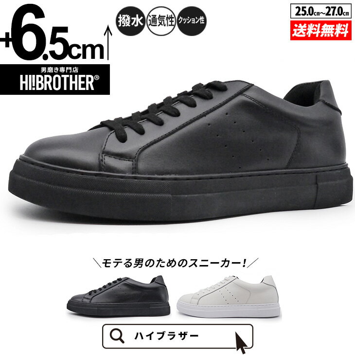 V[NbgV[Y Xj[J[ g[V[Y 6.5cm vC C YV[Y V[NbgXj[J[ gAbvXj[J[ nCq[ wȂC tallshoes q[AbvXj[J[ YV[Y Cq[ [Jbg グ gup グ U[