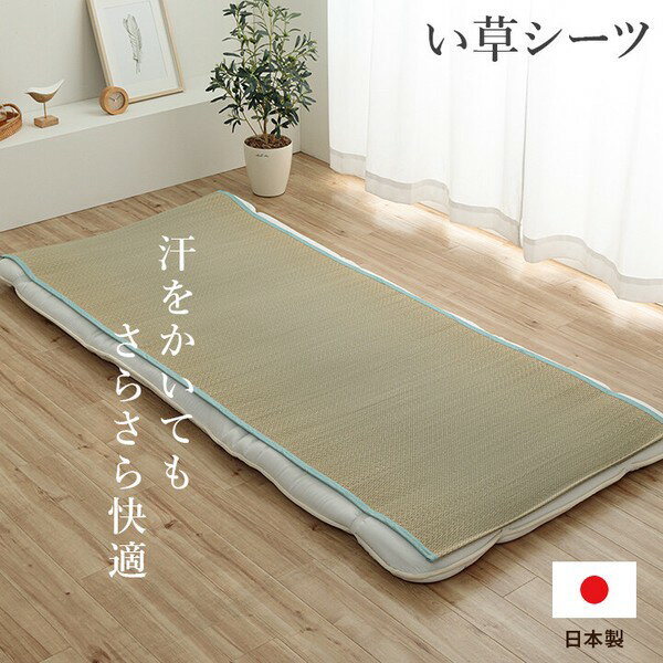 ◇高嶋金物店◇日本製 い草シーツ『いやし』約88×200cm（シングル）ブルー