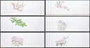 ◇高嶋金物店◇【日本製】雲竜和紙 花宴おしながき 100枚入 梅/桜/青もみじ/菖蒲/紫陽花/朝顔/赤もみじ/椿/南天
