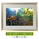 運気が上がる!? 【奇跡の写真】玉響の出現 ≫運気が上がる絵を探している方へ!飾るだけで幸運が連鎖すると話題!秋元隆良の開運フォト作品 奇跡の写真シリーズから『...