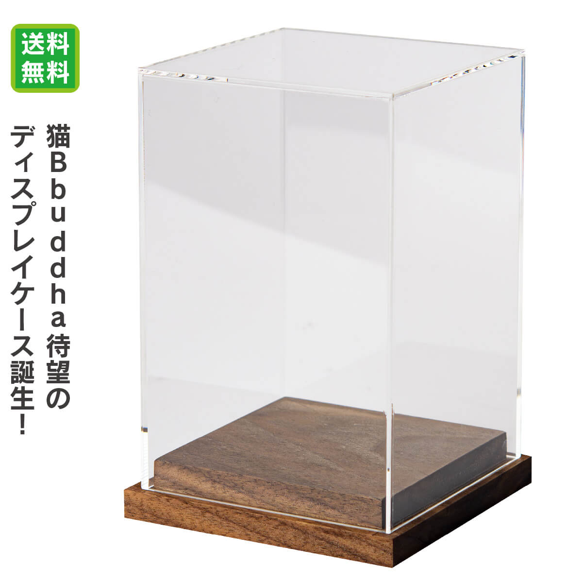 猫buddhaディスプレイケース(M)