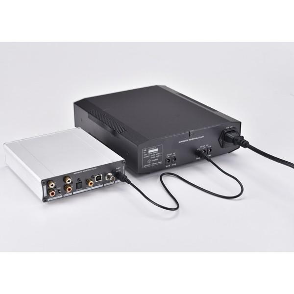 SOUND WARRIOR パワーサプライ SWD-PS10 サウンドウォーリア 城下工業 その他オーディオ機器アクセサリー tamagawaaudio-10001667 タマガワオーディオ楽天市場店 サンプル画像3