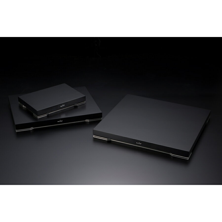 WELLFLOAT ウェルフロート BH001 インシュレーター 3個 セット
