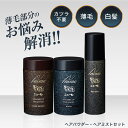 送料無料 ルアン スーパーミリオンヘアー SMH ヘアファンデーション 12g ヘアカバー ヘアファンデ 白髪隠し 分け目カバー 生え際カバー 白髪カバー 薄毛 シラガ しらが パウダー【TG】