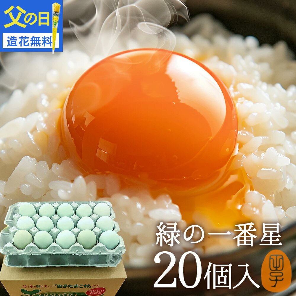 父の日 卵 生卵 高級 緑の一番星 たまご ギフト【生卵20個入(生卵16個+破損保証4個)】卵かけご飯 アローカナ 大黄卵鶏が産む 青い卵 ブランド卵 緑の卵 トレイ入 のし カード無料 食べ物 プレゼント お取り寄せ グルメ 玉子