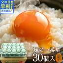 父の日超早割 20%OFF 卵 生卵 高級 緑の一番星 たまご ギフト【生卵30個入(生卵25個+破損保証5個)】卵かけご飯 アローカナ 大黄卵鶏が産む 青い卵...