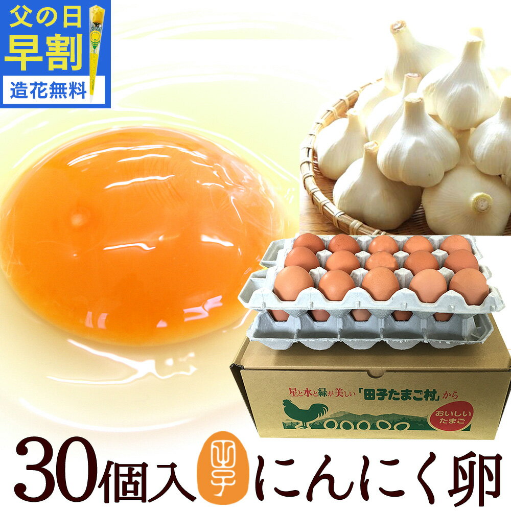 父の日早割 10%OFF 卵 生卵 高級 にんにく卵 たまご ギフト【生卵30個入(生卵25個+破損保証5個)】卵かけご飯 トレイ入 のし カード無料 甘く生臭さニンニク臭無し 青森の特産にんにくで育った鶏が産む健康卵 食べ物 TV 紹介 お返し プレゼント お取り寄せ グルメ 玉子