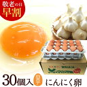 敬老の日 早割10%OFF 卵 生卵 高級 にんにく卵 たまご ギフト【生卵30個入(生卵25個+破損保証5個)】卵かけご飯 トレイ入 のし カード無料 甘く生...