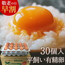 敬老の日 超早割20%OFF 卵 平飼い 平飼い卵 平飼い有精卵 高級 ギフト【生卵30個入(生卵25個+破損保証5個)】卵かけご飯 トレイ入 のし カード無料 平飼いでストレスなくのびのび育った鶏が産む健康卵 食べ物 プレゼント お取り寄せ たまご 玉子 無農薬 2025 祖母 祖父