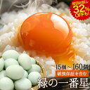 緑の一番星 初回お試しは25%OFF! 卵 15~160個 無選別 M~L 破損保証含む 生卵 高級 緑の一番星 たまご ギフト卵かけご飯 アローカナ 大黄卵鶏が産む 青い卵 ブランド卵 緑の卵 トレイ入 のし カード 食べ物 新鮮 産直 TVで話題 お取り寄せ グルメ 玉子