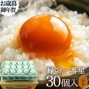 お歳暮 緑の一番星【生卵30個入(生卵25個+破損保証5個)】卵 玉子 たまご 高級 卵かけご飯に トレイ入 包装,のし,カード無料!緑の卵 アローカナ大黄卵鶏が産む薄緑殻 食べ物 実用的 ギフト プレゼント お取り寄せグルメ 御歳暮 お年賀 御年賀 2023