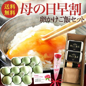 母の日 早割 10%OFF 卵かけご飯セット卵 匠が作った高波動米と新鮮緑の卵で食べる至極のTKGセット 緑の一番星(12個)+高波米1kg+専用醤油1本 ギフト オーラ最高値 お取り寄せグルメ 母の日予約(5/7〜5/9お届け)※着日指定不可