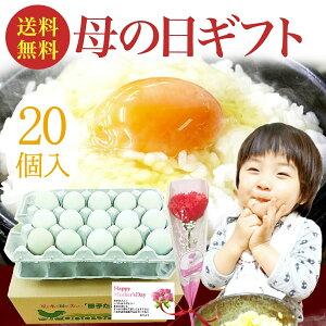 母の日 ギフト 緑の一番星 生卵20個入(生卵15個+破損保証5個)(トレイ入) 贈り物 テレビ紹介 包装,のし,カード無料 緑の卵 アローカナ大黄卵鶏が産む薄緑殻 高級栄養タマゴ 甘く濃厚 生臭さ無 お取り寄せグルメ 母の日予約(5/7〜5/9お届け)※着日指定不可