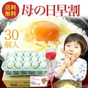 母の日 超早割 20%OFF 緑の一番星【生