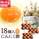 母の日間に合う! 卵 生卵 高級 にんにく卵 たまご ギフト【生卵18個入】卵かけご飯 のし カード無料 甘く生臭さニンニク臭無し 青森の特産にんにくで育った鶏...