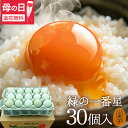 母の日間に合う! 卵 生卵 高級 緑の一番星 たまご ギフト【生卵30個入(生卵25個+破損保証5個)】卵かけご飯 アローカナ 大黄卵鶏が産む 青い卵 ブランド...