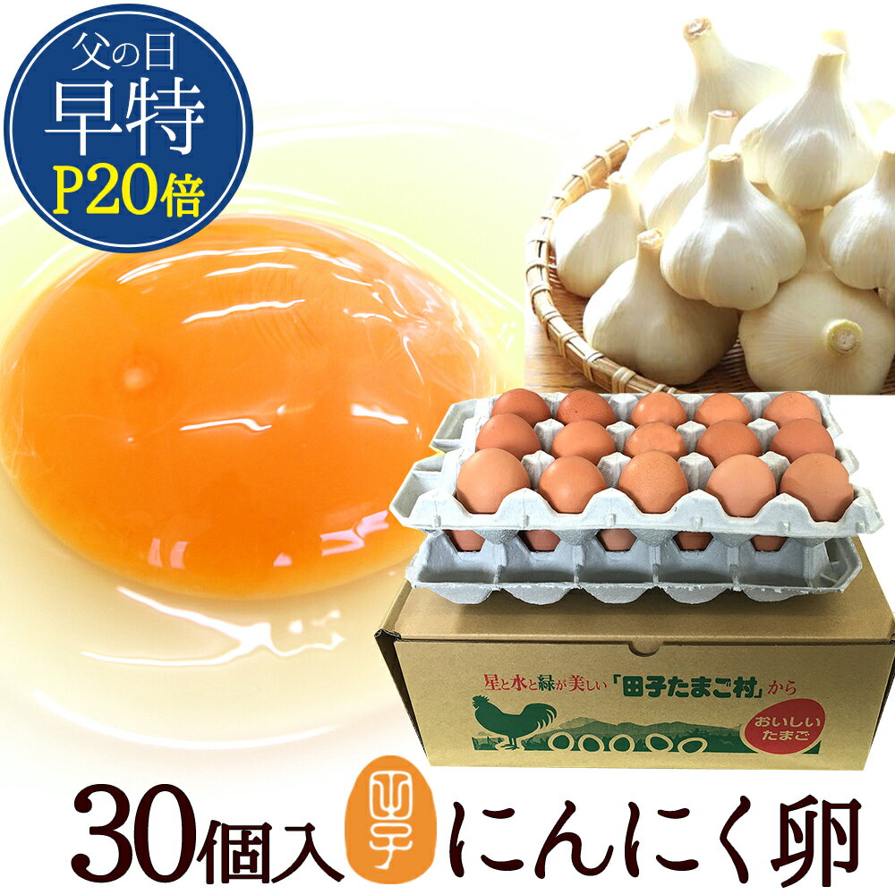 父の日 ポイント20倍! にんにく卵【生卵30個入(生卵25個+破損保証5個)】卵 玉子 たまご 高級 卵かけご..