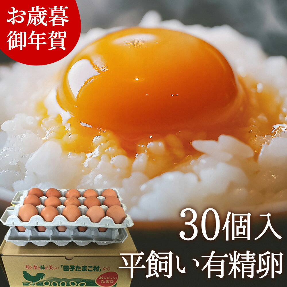 お歳暮 ギフト 卵 平飼い 平飼い卵 平飼い有精卵 高級【生卵30個入(生卵25個+破損保証5個)】卵かけご飯..