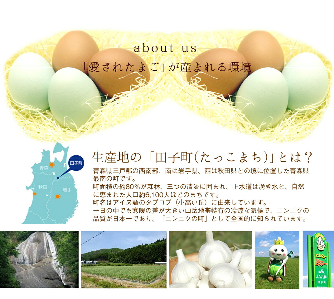 激安特価 有精卵 75個入 生卵60個 破損保証15個 ギフト 送料無料 飲んでも美味 甘く濃厚 生臭さ無し 平飼いでストレスなくのびのび育った純国産鶏産む健康タマゴ 肉体改造 免疫力 筋トレ ダイエット平飼い有精卵 ご自宅用 卵かけご飯 お取り寄せグルメ 時間指定不可 激安特価 有精卵 75個入 生卵60個 破損保証15個 ギフト 送料無料 飲んでも美味 甘く濃厚 生臭さ無し 平飼いでストレスなくのびのび育った純国産鶏産む健康タマゴ 肉体改造 免疫力 筋トレ ダイエット平飼い有精卵 ご自宅用 卵かけご飯 お取り寄せグルメ 時間指定不可