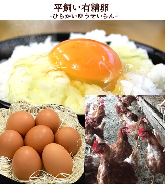 有精卵 75個入(生卵60個+破損保証15個) ギフト 送料無料 皆でシェア♪小分け用袋(ネット)無料!飲んでも美味!甘く濃厚 生臭さ無し 平飼いでストレスなくのびのび育った純国産鶏産む健康タマゴ 筋トレ ダイエット 高波動 【ご自宅用】 卵かけご飯 お中元