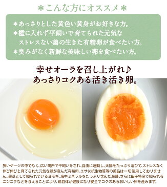 有精卵 75個入(生卵60個+破損保証15個) ギフト 送料無料 皆でシェア♪小分け用袋(ネット)無料!飲んでも美味!甘く濃厚 生臭さ無し 平飼いでストレスなくのびのび育った純国産鶏産む健康タマゴ 筋トレ ダイエット 高波動 【ご自宅用】 卵かけご飯 お中元