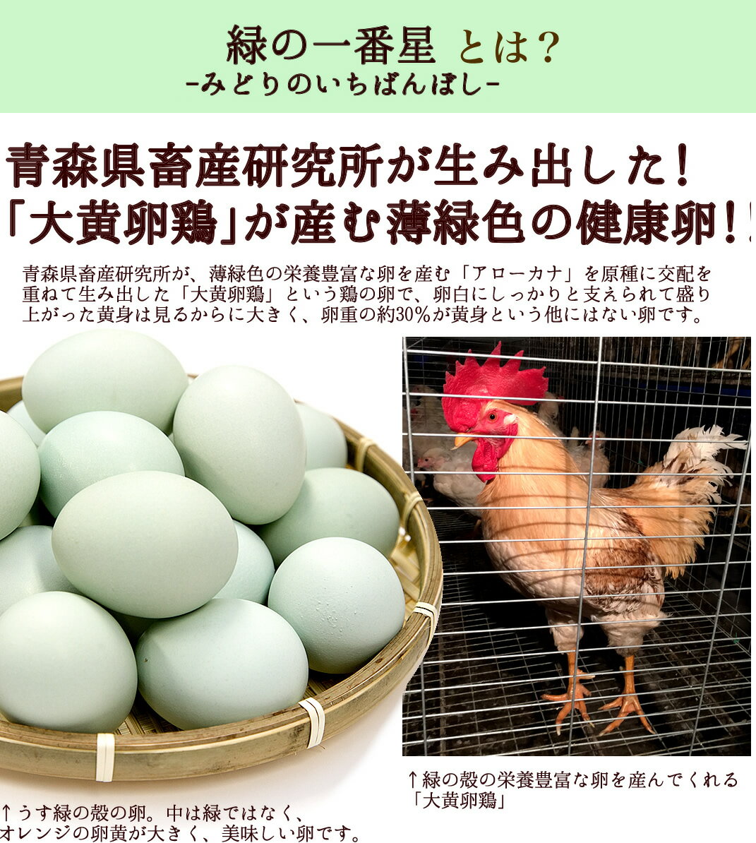 楽天市場 ギフト 卵プリン4個 化粧箱入り 雑誌掲載テレビで話題 新鮮緑の一番星使用 濃厚な風味 とろける口当たり アローカナの卵が進化 大黄卵鶏が 産む薄緑殻の高級栄養卵使用 クール便発送 送料無料 最高級グルメ スイーツ お取り寄せグルメ 田子たまご村 楽天市場店