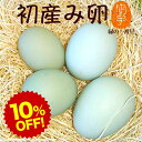 楽天スーパーSALE 10%OFF 卵 生卵 高級 緑の一番星 初産み卵 たまご ギフト【生卵30個入(生卵25個+破損保証5個)】トレイ入 小さめサイズ 卵かけご飯 アローカナ 大黄卵鶏が産む 青い卵 ブランド卵 緑の卵 のし カード無料 食べ物 プレゼント お取り寄せ グルメ 玉子 実用的