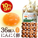 楽天スーパーSALE 10%OFF 卵 生卵 高級 にんにく卵 たまご ギフト【生卵36個入】卵かけご飯 のし カード無料 甘く生臭さニンニク臭無し 青森の特産にんにくで育った鶏が産む健康卵 食べ物 TV 紹介 プレゼント お取り寄せ グルメ 玉子 筋トレ ダイエット お祝い 結婚祝い