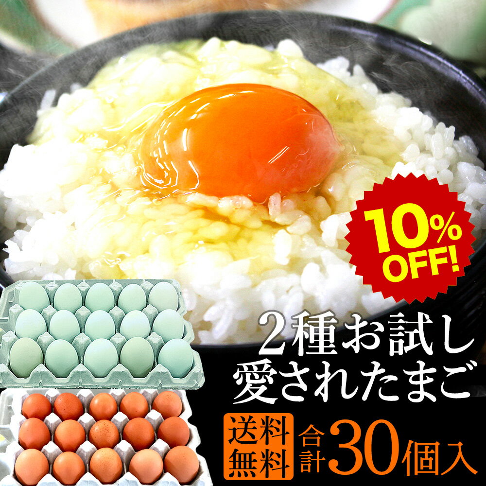 楽天スーパーSALE 10%OFF! 「満天☆青空レストラン」で紹介！卵 お試し 食べ比べ ギフト 送料無料 高級 グルメ 新鮮愛されたまご2種選べるセット合計30個(生卵25個+破損保証5個) 青い卵 玉子 緑の卵 緑の一番星15個入+にんにく卵or平飼い有精卵15個入 甘く濃厚 卵かけご飯